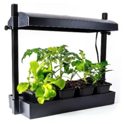 SunBlaster 1600218 T5HO Indoor Canopy Micro Grow Light Garden System With 1, 12-Inch 11-Watt 6400K Strip Light & 1 NanoTech T5 Reflector, Black 7 SunBlaster 1600218 T5HO Indoor Canopy Micro Grow Light Garden System With 1, 12-Inch 11-Watt 6400K Strip Light & 1 NanoTech T5 Reflector, Black -Garden Furniture Discounts GUEST 02dc1883 af79 4b04 bbf7 467ddc3ca9fc
