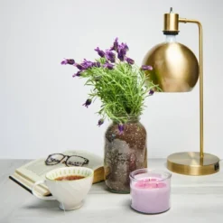 Back To The Roots Organic Lavender Grow Kit -Garden Furniture Discounts GUEST 093e7da4 00b3 46ff bdf9 c31816e7e8df