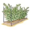 Raised Garden Bed, Raspberry Bed Kit