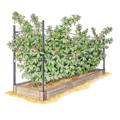 Raised Garden Bed, Raspberry Bed Kit 3 Raised Garden Bed, Raspberry Bed Kit