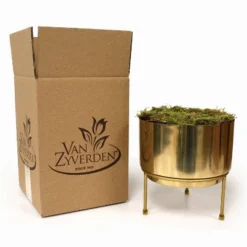 3ct Amaryllis Trio Preplanted Bulbs With Iron Brass Finish Pan Planter And Stand - Van Zyverden 7 3ct Amaryllis Trio Preplanted Bulbs With Iron Brass Finish Pan Planter And Stand - Van Zyverden -Garden Furniture Discounts GUEST 1d081f48 fbd2 4bdf b84d f2306e71d075