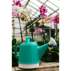 2.5gal Deluxe Watering Can - Bloem 13 2.5gal Deluxe Watering Can - Bloem -Garden Furniture Discounts GUEST 2fc35430 ec12 4ca9 b12f 81ee92da5796