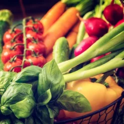 Back To The Roots 20pk Organic USA Herbs And Vegetable Seeds 12 Back To The Roots 20pk Organic USA Herbs And Vegetable Seeds -Garden Furniture Discounts GUEST 32a4f4b8 1a47 4ba6 be5a 5d7632f360ad