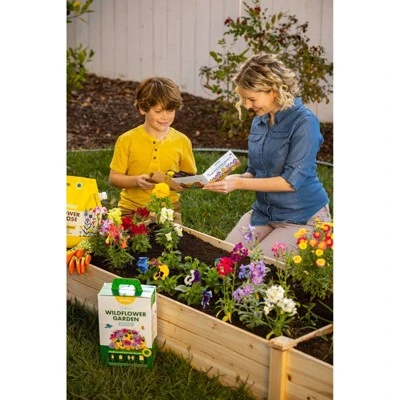 Sunday Outdoor Wildflower Garden Kit 7 Sunday Outdoor Wildflower Garden Kit - Image 5