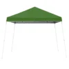 Z Shade 10x10 Foot Angled Leg Instant Shade Canopy Tent Portable Shelter, Green & Durable Plastic 5 Pound Canopy Tent Leg Weight Plates, Set Of 4