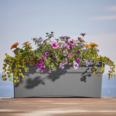 Bloem 26"x11" Veranda Rectangular Window Deck Box Planter 4 Bloem 26"x11" Veranda Rectangular Window Deck Box Planter - Image 2