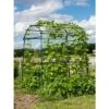 Gardener’s Supply Company Extra Tall Garden Arch Arbor 80in Titan Squash Tunnel | Lightweight Metal Garden Arch Trellis Plant Stand For Climbing Vines -Garden Furniture Discounts GUEST 4ddf9e65 0ee3 4b52 ab46 e1163d39027d