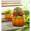 Evergreen Plow & Hearth Indoor/Outdoor Fall Orange Pumpkin Planters In Weather-Safe Resin With Drain Hole, Set Of 2, 8" Dia. X 6"H And 15" Dia. X 12"H -Garden Furniture Discounts GUEST 54ea70ee cec0 48d0 9f2e 4bedd7051353