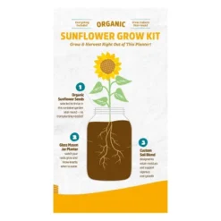 Back To The Roots Organic Sunflower Grow Kit -Garden Furniture Discounts GUEST 584210ed a580 45ec 81ff 36609b680b78