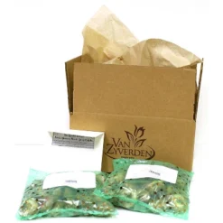 Daffodils Dutch Master Set Of 25 Bulbs - Yellow - Van Zyverden -Garden Furniture Discounts GUEST 585e449f 3de1 43f8 a363 0aeb1b94ba5d