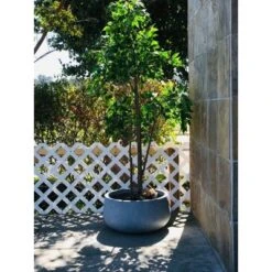 Rosemead Home & Garden, Inc. 16" Wide Kante Lightweight Outdoor Concrete Oval Bowl Decorative Planter Slate Gray -Garden Furniture Discounts GUEST 5b0ad229 bd30 4d1b b427 fef0aec1b15f