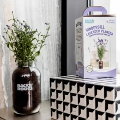 Back To The Roots Organic Lavender Grow Kit -Garden Furniture Discounts GUEST 5c28df74 fc68 4cf3 9e12 3963a13766f1