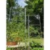 Gardener's Supply Company Chicken Wire Pea Trellis For Climbing Plants | Multi-Use Heavy Duty Outdoor Garden Peas, Tomato, Cucumber Plant Support | -Garden Furniture Discounts GUEST 5da09339 4654 4a4e 99ec 7ae133707b35