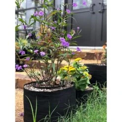 Smart Pot 30 Gallon Portable Fabric Dirt Grow Planter Vegetable Plant Flower Pot Soft Sided Container Bucket, Black -Garden Furniture Discounts GUEST 618b6324 7b03 422a 87fc 04648b369d1b