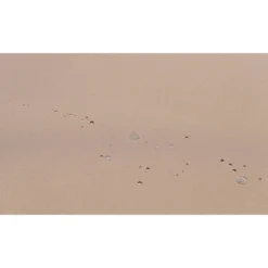 4pc Wicker Patio Sectional Seating Set With Cushions - Natural - GODEER -Garden Furniture Discounts GUEST 64a040a6 d12d 490f 9137 a10f5de8a534