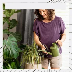 Homarden 34oz Green Long Spout Metal Watering Can Perfect For Outdoor & Indoor Plants -Garden Furniture Discounts GUEST 69d254c3 4bfd 48e2 bb97 ae7e1ce91d48