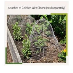 Gardener’s Supply Company Sturdy Chicken Wire Cloche Plant Protector Extension | Adds Broader Area Coverage Protection For Tall Plants Vegetables & -Garden Furniture Discounts GUEST 6d9b9cff 2d70 468b bd6c 21109121c8b2