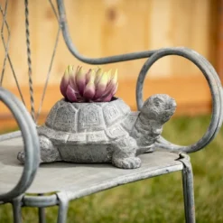 6"H Sullivans Charcoal Tortoise Planter, Gray 6 6"H Sullivans Charcoal Tortoise Planter, Gray -Garden Furniture Discounts GUEST 7186d003 6c49 4ab3 aa9d 5d2c289191e6