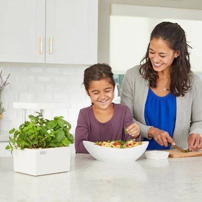 Back To The Roots Hydroponic Grow Kit With Organic Seeds 4 Back To The Roots Hydroponic Grow Kit With Organic Seeds - Image 2