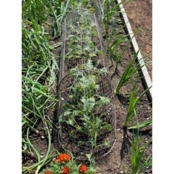 Gardener’s Supply Company Chicken Wire Cloche Garden Plot Plants Cover Protector | Sturdy Arch Metal Tunnel Cage Flowerbeds And Seedlings Garden