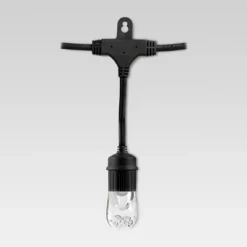 24ct Classic Café Outdoor String Lights Integrated LED Bulb - Black Wire - Enbrighten