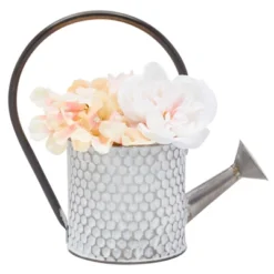 Okuna Outpost Galvanized Metal Watering Can Vase For Indoor Outdoor Plant, Succulents (5.1 X 10 In) 11 Okuna Outpost Galvanized Metal Watering Can Vase For Indoor Outdoor Plant, Succulents (5.1 X 10 In) -Garden Furniture Discounts GUEST 859b2f8e 75c3 4b27 b557 1dc0afe293e3