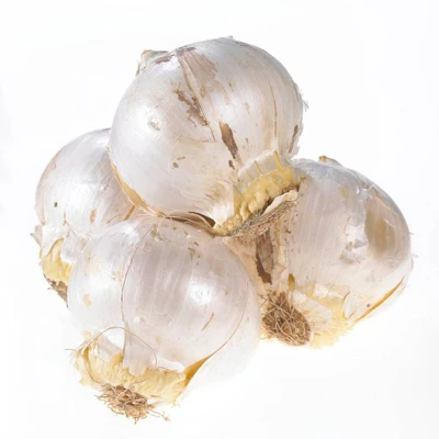 Van Zyverden Set Of 3 Bulbs Allium Nevskianum 3 Van Zyverden Set Of 3 Bulbs Allium Nevskianum