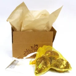 Van Zyverden 3ct Amaryllis Red Lion Flower Bulb Set 6 Van Zyverden 3ct Amaryllis Red Lion Flower Bulb Set -Garden Furniture Discounts GUEST 8e643bd6 109e 4214 b0ec 386c35eeb724