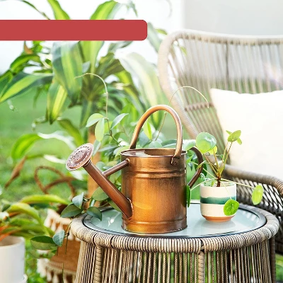 Homarden 81oz Galvanized Copper Watering Can With Removable Spout 3 Homarden 81oz Galvanized Copper Watering Can With Removable Spout