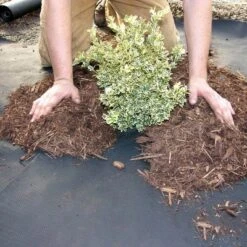 DeWitt Weed Barrier Pro 3-Ounce Commercial And Home Garden Landscape Weed Block Barrier Heavy-Duty Non-Woven Ground Cover Fabric, Black -Garden Furniture Discounts GUEST 8ec83369 f28f 49ca 8c05 1a8805e12ebc