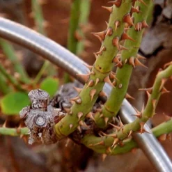 Bernini 75' Metal Garden Hose With Flex End Watering Wand 21 Bernini 75' Metal Garden Hose With Flex End Watering Wand -Garden Furniture Discounts GUEST 94a9cd55 9f30 4425 903d 125d70c50878