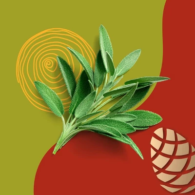 Beloved Cashmere Wood And Sage 2-Wick Candle - 11.5oz 6 Beloved Cashmere Wood And Sage 2-Wick Candle - 11.5oz - Image 4