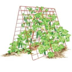 Deluxe Cucumber Trellis 11 Deluxe Cucumber Trellis -Garden Furniture Discounts GUEST 9bdaecf6 347d 48c6 950d 2fd9b882c806
