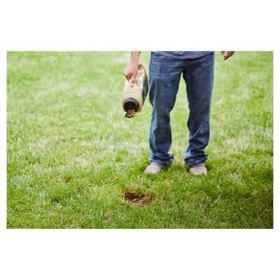 Scotts EZ Seed Tall Fescue 10lb 4 Scotts EZ Seed Tall Fescue 10lb - Image 2