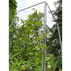 Gardener's Supply Company Chicken Wire Pea Trellis For Climbing Plants | Multi-Use Heavy Duty Outdoor Garden Peas, Tomato, Cucumber Plant Support | -Garden Furniture Discounts GUEST ab7477bf 9d33 45a3 9b47 25a12d6b9070