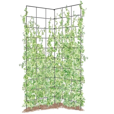Two Panel Folding Trellis 3 Two Panel Folding Trellis