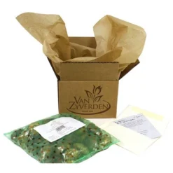 12ct Allium Miami Bulbs - Van Zyverden 8 12ct Allium Miami Bulbs - Van Zyverden -Garden Furniture Discounts GUEST bc77edb8 ae2e 4f65 80b4 613a97ad577f 3