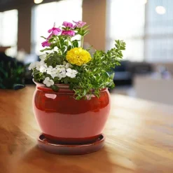 Southern Patio Wisteria 12 Inch Ceramic Planter Pot With Saucer (2 Pack) -Garden Furniture Discounts GUEST c6dc51a5 95de 4a1e 835e 5491d8bf0fc3