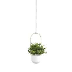 Triflora Hanging Planter White/Brass - Umbra -Garden Furniture Discounts GUEST c7aa2c96 f0b3 4db7 ae0d 6b245d20741b