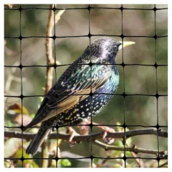 100'x14' Standard Bird Netting - Bird-X -Garden Furniture Discounts GUEST ccd1100d ffba 4069 8e6f ec685ee84616