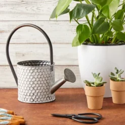 Okuna Outpost Galvanized Metal Watering Can Vase For Indoor Outdoor Plant, Succulents (5.1 X 10 In) 10 Okuna Outpost Galvanized Metal Watering Can Vase For Indoor Outdoor Plant, Succulents (5.1 X 10 In) -Garden Furniture Discounts GUEST d39d1008 ab16 4a26 8e57 41161c331f72