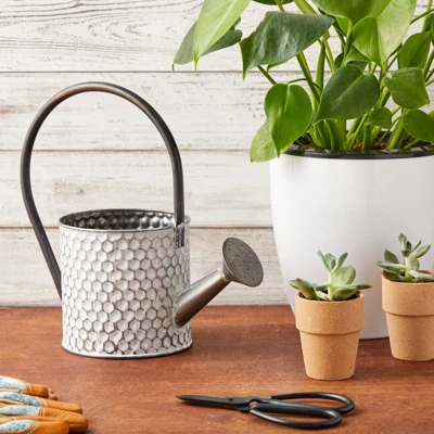 Okuna Outpost Galvanized Metal Watering Can Vase For Indoor Outdoor Plant, Succulents (5.1 X 10 In) 4 Okuna Outpost Galvanized Metal Watering Can Vase For Indoor Outdoor Plant, Succulents (5.1 X 10 In) - Image 2