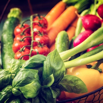 Back To The Roots 10pk Organic USA Beginner’s Garden Seeds 6 Back To The Roots 10pk Organic USA Beginner’s Garden Seeds - Image 4