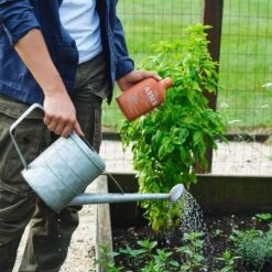 Arber 8oz Organic Plant Food Concentrate -Garden Furniture Discounts GUEST dd8c2696 839e 4b9a bb22 efbe7d263a1c