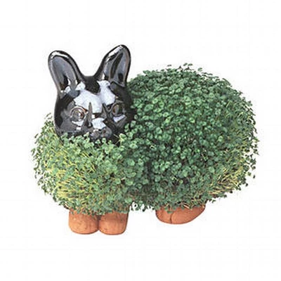 Joseph Enterprises, Inc Chia Pet Grass Planter: Bunny 3 Joseph Enterprises, Inc Chia Pet Grass Planter: Bunny