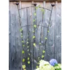 Gardener's Supply Company Flock Of Friends Wall Trellis | Outdoor Garden Trellis For Climbing Plants, Vegetables And Vining Flowers | Powder-Coated -Garden Furniture Discounts GUEST ddb56889 4541 4204 bdd3 cb178af8cf1e