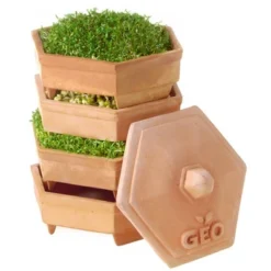 Tribest GEO Terradisiena 4-Tier Terracotta Sprouter β Brown