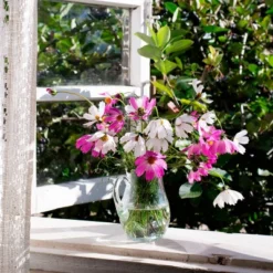 Back To The Roots 5pk Organic USA Flower Seeds -Garden Furniture Discounts GUEST f4347ac0 4180 4cf1 b5e5 4b29a72da013