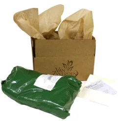 Peonies Festiva Maxima Set Of 3 Roots - White - Van Zyverden -Garden Furniture Discounts GUEST fe65e436 1b87 466a 8cec 9f36f0be3a95